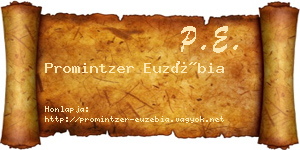 Promintzer Euzébia névjegykártya